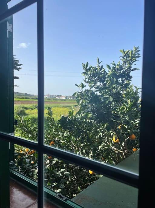 Vila La Macadamia La Laguna  Exteriér fotografie